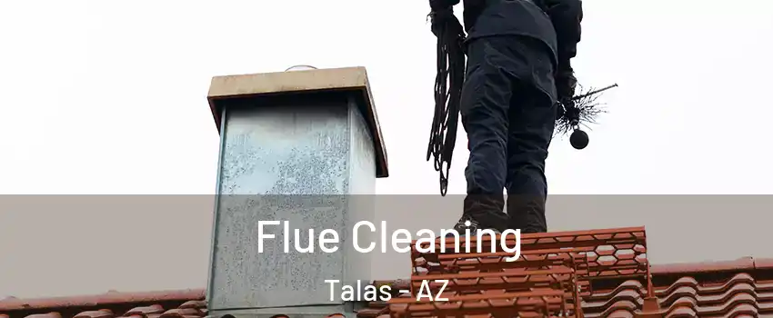 Flue Cleaning Talas - AZ