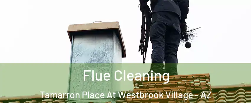 Flue Cleaning Tamarron Place At Westbrook Village - AZ