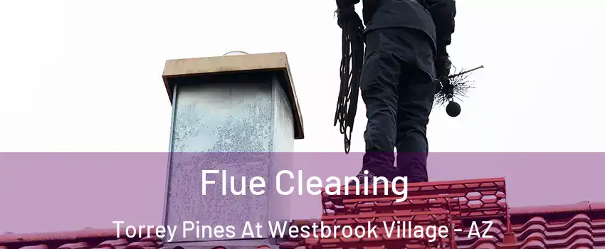 Flue Cleaning Torrey Pines At Westbrook Village - AZ