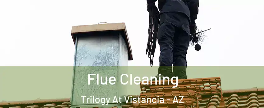 Flue Cleaning Trilogy At Vistancia - AZ