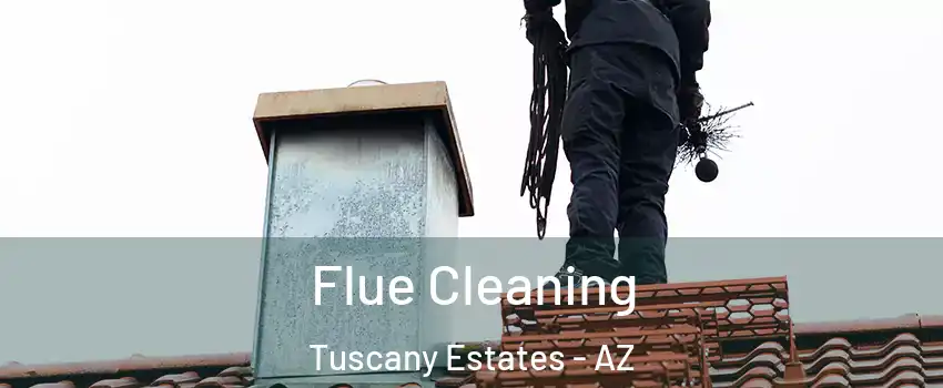 Flue Cleaning Tuscany Estates - AZ