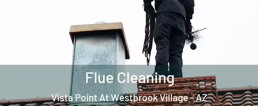 Flue Cleaning Vista Point At Westbrook Village - AZ