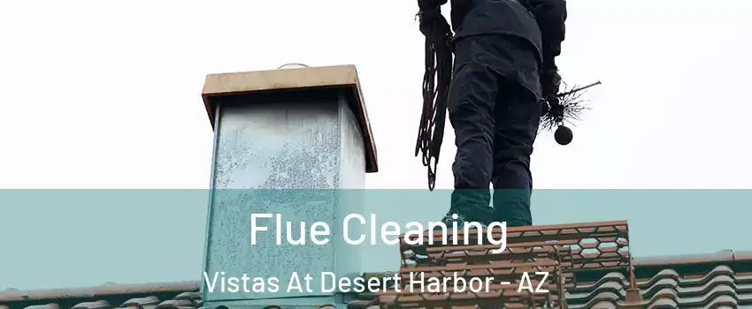 Flue Cleaning Vistas At Desert Harbor - AZ