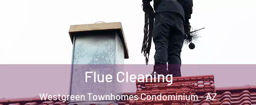 Flue Cleaning Westgreen Townhomes Condominium - AZ