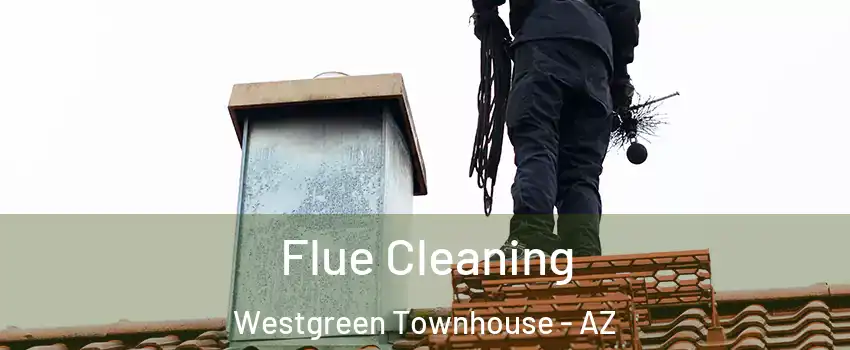 Flue Cleaning Westgreen Townhouse - AZ