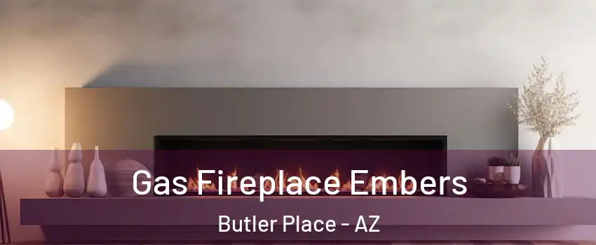 Gas Fireplace Embers Butler Place - AZ