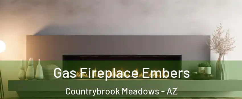 Gas Fireplace Embers Countrybrook Meadows - AZ