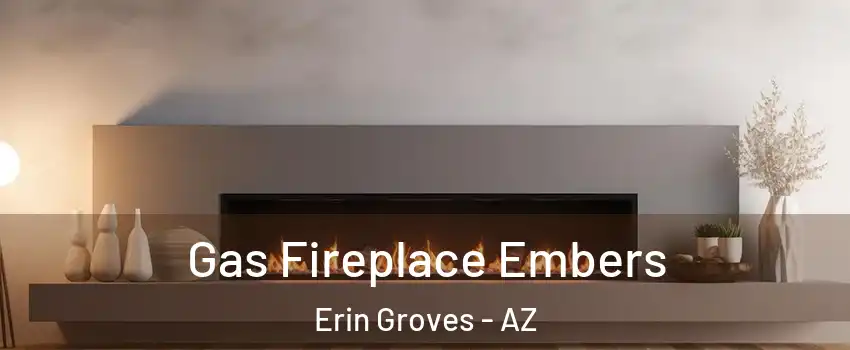 Gas Fireplace Embers Erin Groves - AZ