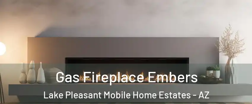 Gas Fireplace Embers Lake Pleasant Mobile Home Estates - AZ