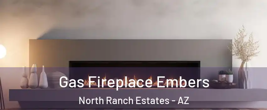 Gas Fireplace Embers North Ranch Estates - AZ
