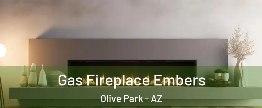 Gas Fireplace Embers Olive Park - AZ