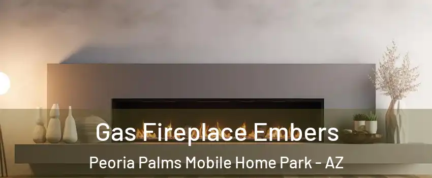 Gas Fireplace Embers Peoria Palms Mobile Home Park - AZ