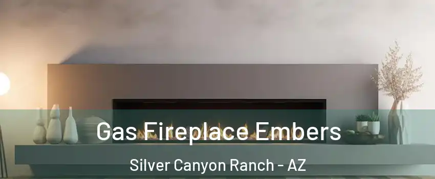Gas Fireplace Embers Silver Canyon Ranch - AZ