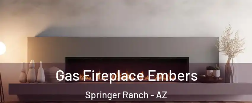Gas Fireplace Embers Springer Ranch - AZ