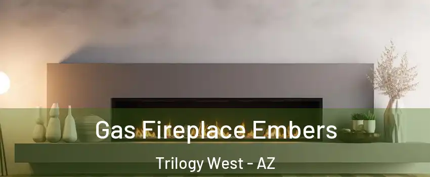Gas Fireplace Embers Trilogy West - AZ