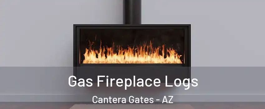 Gas Fireplace Logs Cantera Gates - AZ