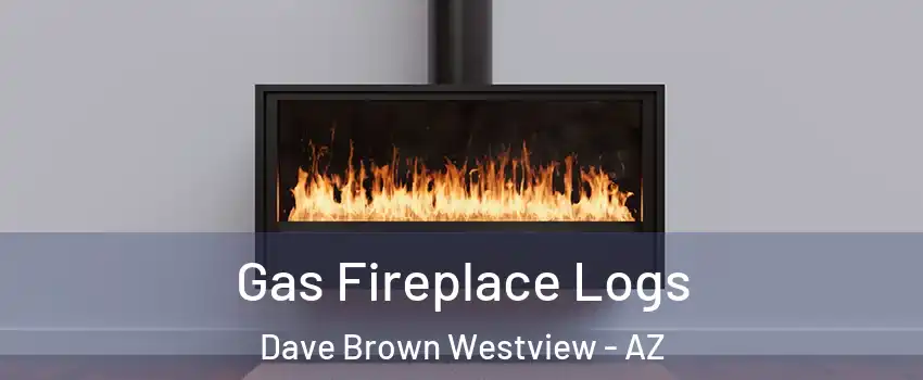 Gas Fireplace Logs Dave Brown Westview - AZ