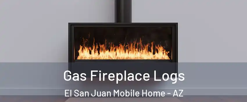 Gas Fireplace Logs El San Juan Mobile Home - AZ