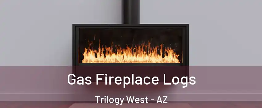 Gas Fireplace Logs Trilogy West - AZ