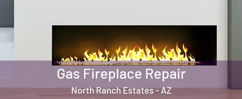 Gas Fireplace Repair North Ranch Estates - AZ