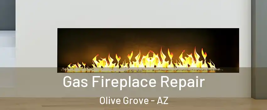 Gas Fireplace Repair Olive Grove - AZ