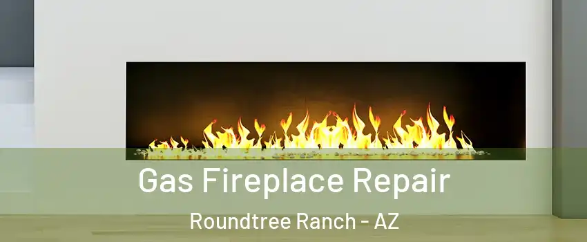 Gas Fireplace Repair Roundtree Ranch - AZ