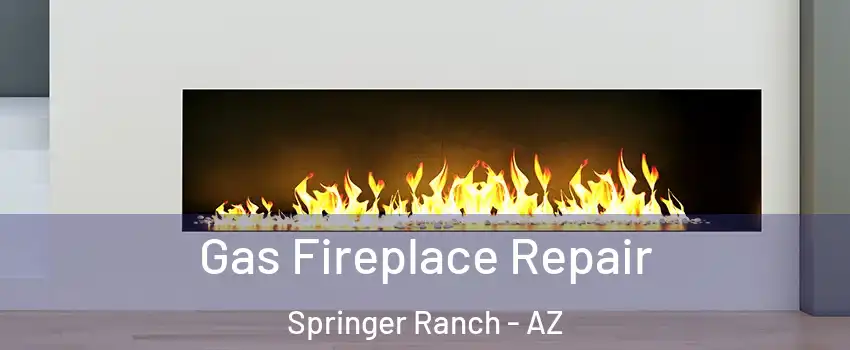 Gas Fireplace Repair Springer Ranch - AZ