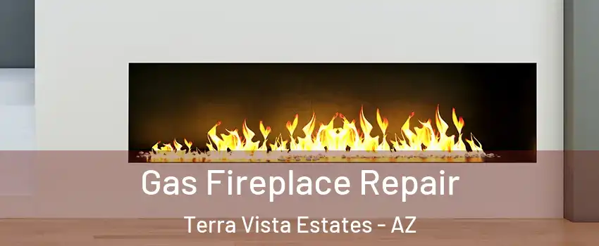 Gas Fireplace Repair Terra Vista Estates - AZ