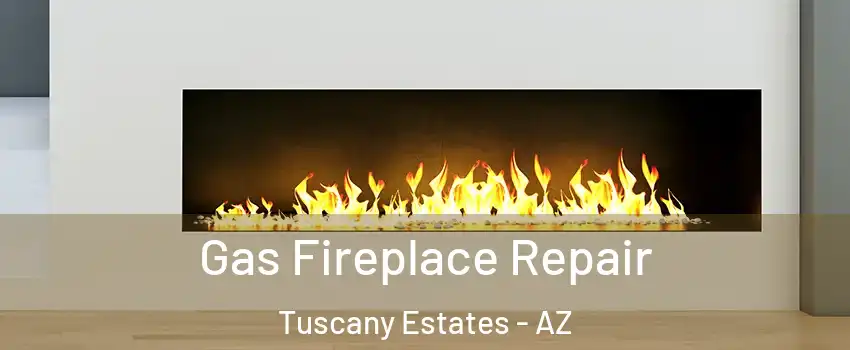 Gas Fireplace Repair Tuscany Estates - AZ