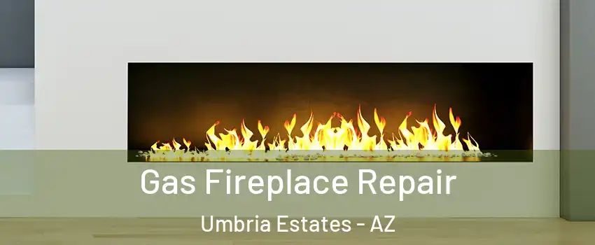 Gas Fireplace Repair Umbria Estates - AZ