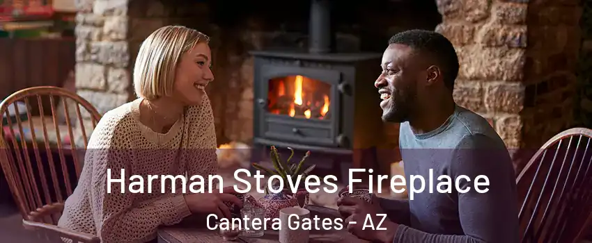 Harman Stoves Fireplace Cantera Gates - AZ