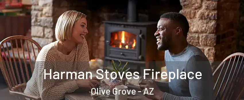 Harman Stoves Fireplace Olive Grove - AZ