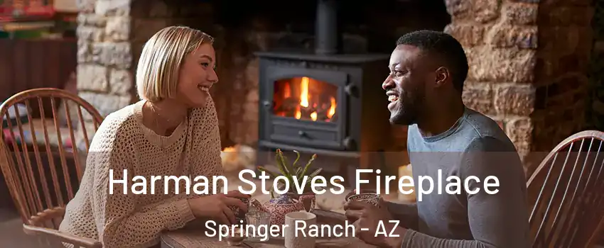 Harman Stoves Fireplace Springer Ranch - AZ