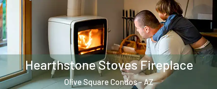 Hearthstone Stoves Fireplace Olive Square Condos - AZ