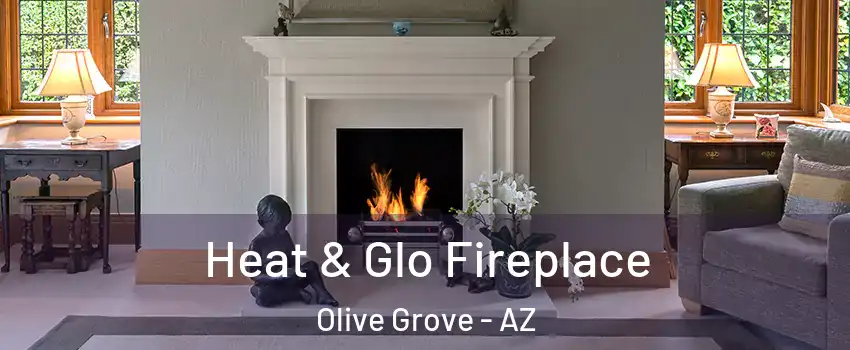 Heat & Glo Fireplace Olive Grove - AZ