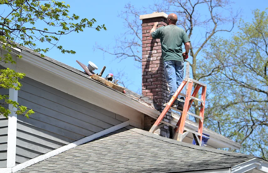 Chimney & Fireplace Inspections Services in Peoria, AZ