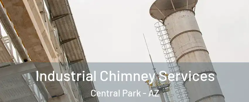 Industrial Chimney Services Central Park - AZ