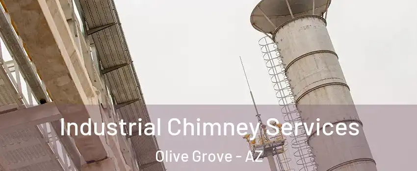 Industrial Chimney Services Olive Grove - AZ
