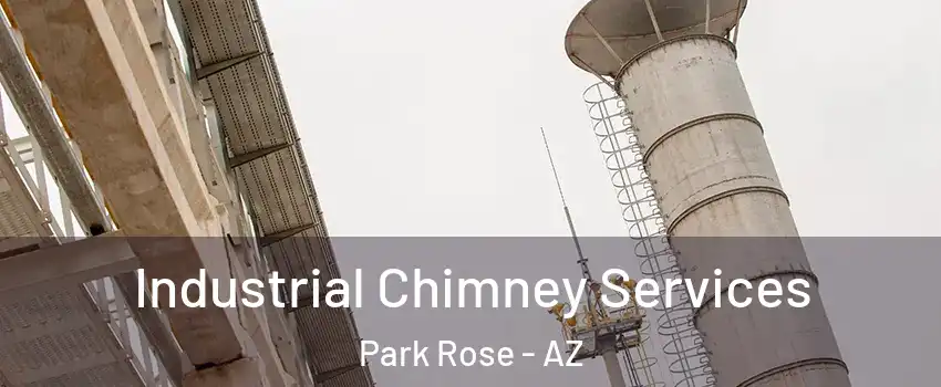 Industrial Chimney Services Park Rose - AZ