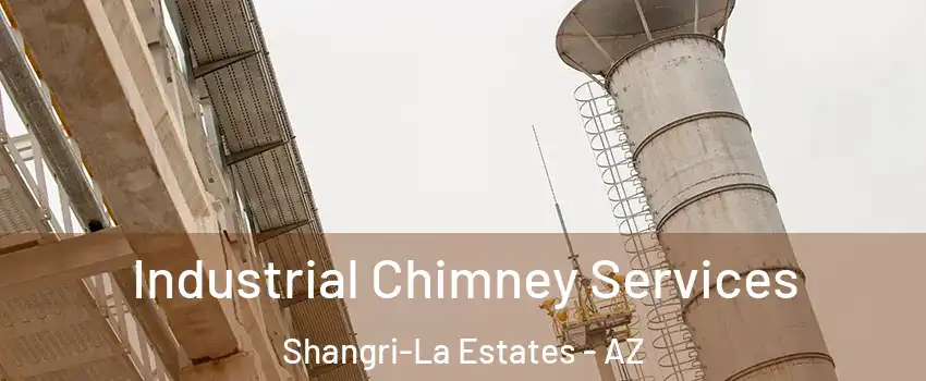 Industrial Chimney Services Shangri-La Estates - AZ