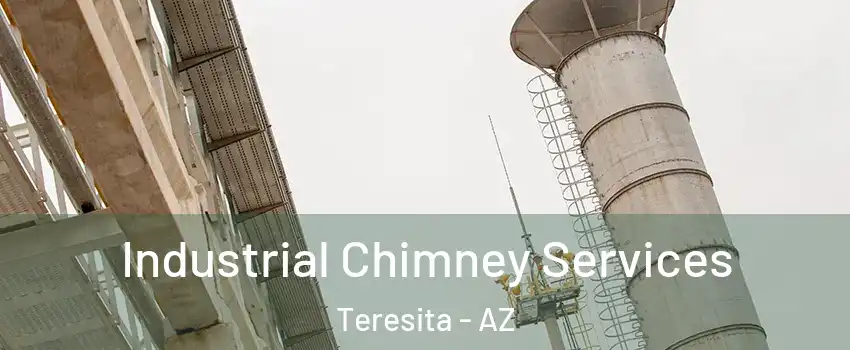 Industrial Chimney Services Teresita - AZ