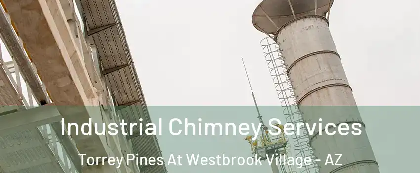 Industrial Chimney Services Torrey Pines At Westbrook Village - AZ