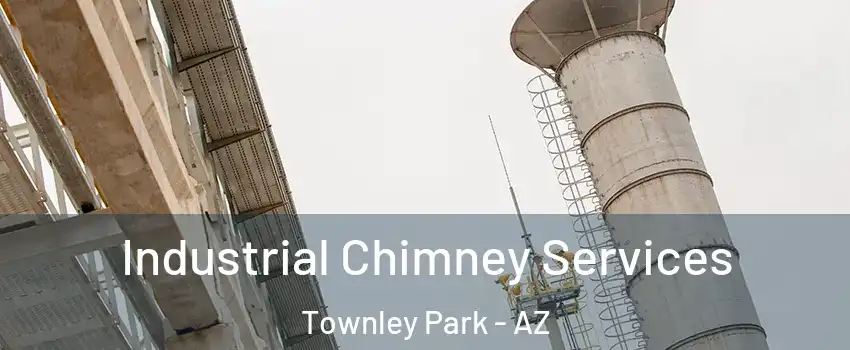 Industrial Chimney Services Townley Park - AZ