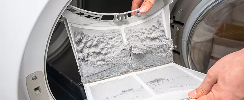 Best Dryer Lint Removal Company in Olive Grove, Arizona