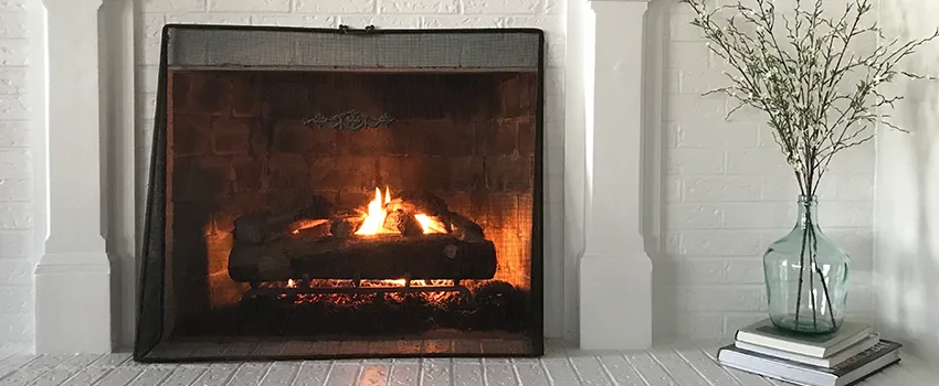 Cost-Effective Fireplace Mantel Inspection And Maintenance in Ryland At Silvercreek, AZ