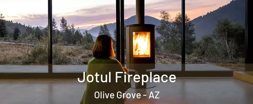 Jotul Fireplace Olive Grove - AZ
