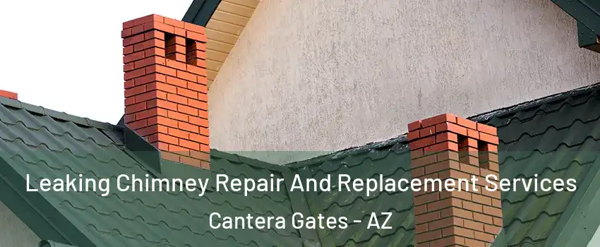 Leaking Chimney Repair And Replacement Services Cantera Gates - AZ