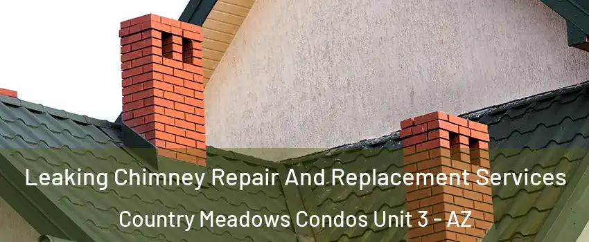 Leaking Chimney Repair And Replacement Services Country Meadows Condos Unit 3 - AZ