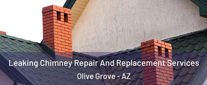 Leaking Chimney Repair And Replacement Services Olive Grove - AZ