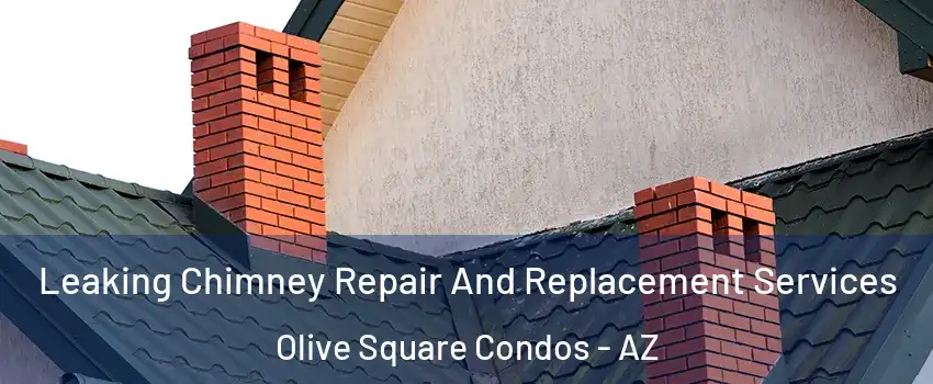 Leaking Chimney Repair And Replacement Services Olive Square Condos - AZ
